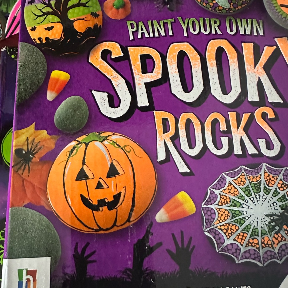 🆕3 Rock Painting Kits - Picture 5 of 11